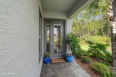 17 Newhaven Ln, Ormond Beach, FL 32174 - photo 5