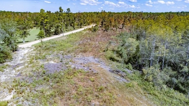 XX6 John Marsh Rd, Bonifay, FL 32425 - photo 7