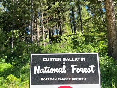 385 Cascade Creek Rd, Gallatin Gateway, MT 59730 - photo 3