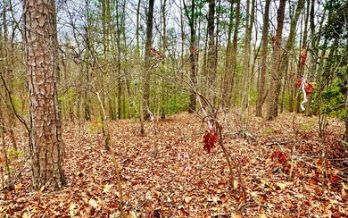 2.5AC Loy St, Ellijay, GA 30540 - photo 3