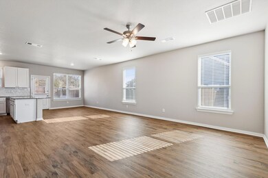 704 Porcupine Dr, Springtown, TX 76082 - photo 4