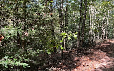 Additional View