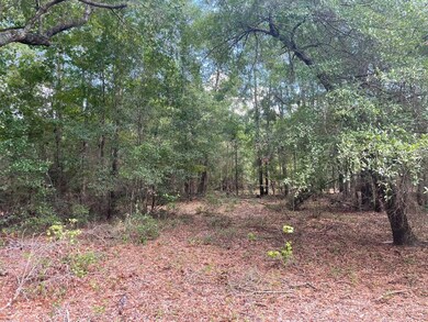 TBD Rivers Hill Rd unit B1, Varnville, SC 29944 - photo 2