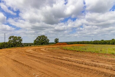 305 Blue Castle Ct, Weatherford, TX 76088 - photo 3