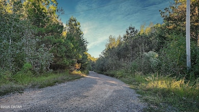 1 Falcon View Dr, Cedar Grove, TN 38388 - photo 2