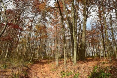 0 Beam Rd unit 4419337, Glenmont, OH 44628 - photo 2