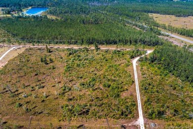 2 Pilgrim Rest Rd, Dequincy, LA 70633 - photo 5