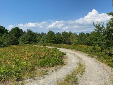 IMG_4512