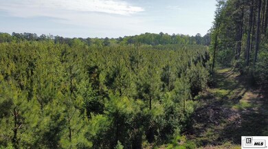 000 Anadarco Rd, Eros, LA 71238 - photo 4