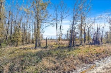 0 Mattie Reeves Rd, Lake Charles, LA 70611 - photo 3