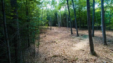 157 Banjo Dr unit 1, Thornton, NH 03285 - photo 5