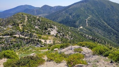 000 E County Line Rd, Whiskeytown, CA 96033 - photo 6