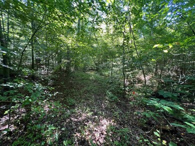 000 Long Rd, Reidsville, NC 27320 - photo 6