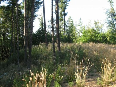 0 S Bird Rd, Molalla, OR 97038 - photo 2