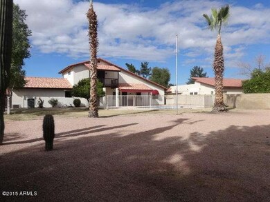 back yard 1