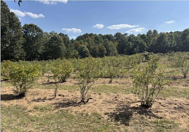 80380 42nd St, Decatur, MI 49045 - photo 3