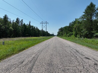 4.98 Ac 23rd St, Necedah, WI 54646 - photo 3