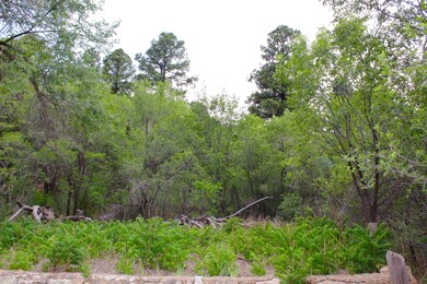 700 N Adams Place, Show Low, AZ 85901 - photo 3