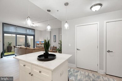 Rhapsody Condominiums unit 17, Washington, DC 20001 - photo 6