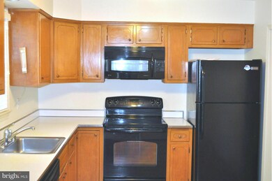5602 Harding Ave, Alexandria, VA 22311 - photo 7