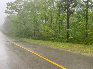 225 Prospectors Way, Jasper, TN 37347 - photo 6