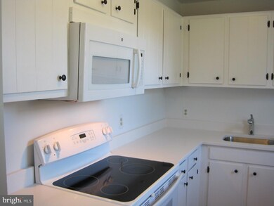 4431 36th St S unit B-2, Arlington, VA 22206 - photo 4