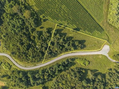 Lot 4 Twelve Ridges Way unit 4, Vesuvius, VA 24483 - photo 2