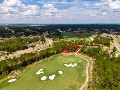 15 Brushed Dune Circle Aerial-23