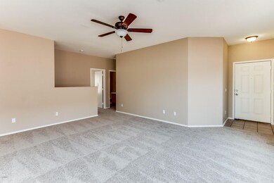 Woodlands - 008