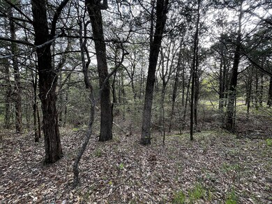 Lot 43A Palmilla Dr, Gordonville, TX 76245 - photo 7