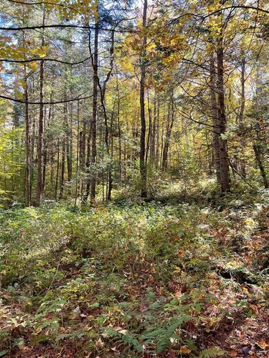 1010 Fellows Rd, Guildhall, VT 05905 - photo 6