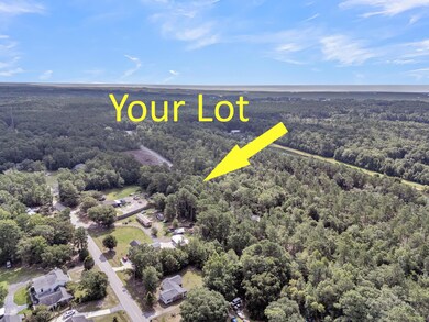 5646 Giddyup Ln, Awendaw, SC 29429 - photo 7