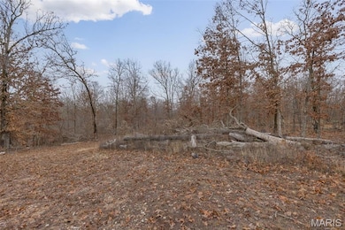 0 Private Lane 405 unit MIS25073319, Salem, MO 65560 - photo 2