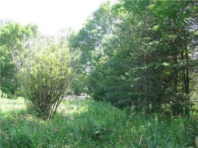 Land/Lot. Bonus extra lot, currently not being uti