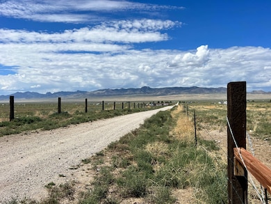 APN 011-11j-014, Wells, NV 89835 - photo 3