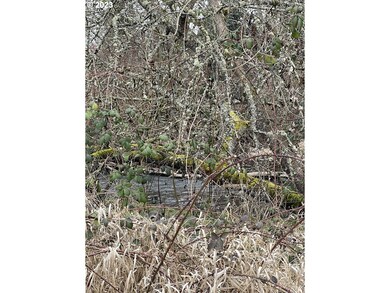 Creek