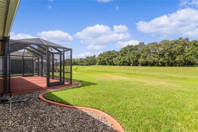 Birdcage overlooking tee box #11