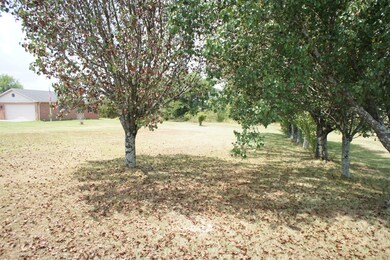 816 Castle Heights Ave, Lebanon, TN 37087 - photo 3