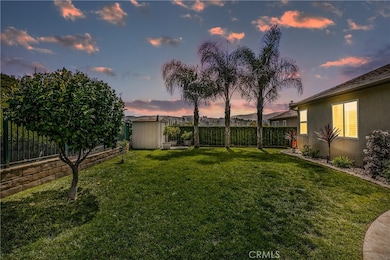 Backyard at Twilight
