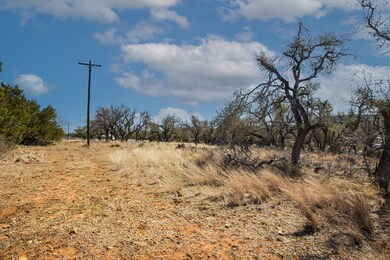 3 E Lower Crabapple Rd unit 3, Fredericksburg, TX 78624 - photo 2