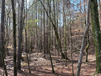 TBD Girlinghouse Rd, Jena, LA 71342 - photo 3