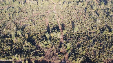 1c0910ee-164f-460c-85d6-2d61dba6e319