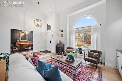 2855 Halleys Ct, Colorado Springs, CO 80906 - photo 5