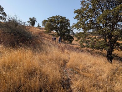 0 Soledad Way N unit 225128497, La Grange, CA 95329 - photo 7