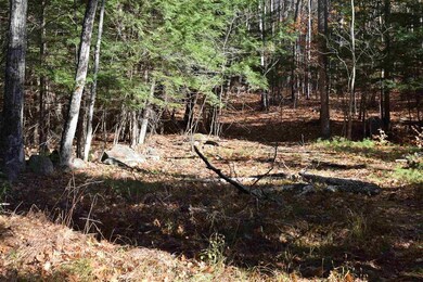 333 Meredith Neck Rd, Meredith, NH 03253 - photo 3