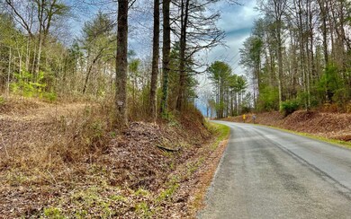 1029 Pleasant Hill Rd, Ellijay, GA 30540 - photo 2