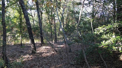 000 County Road 4330, Larue, TX 75770 - photo 5