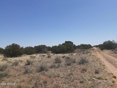 SW 10 Acre 17xx Buffington Hill Rd, Heber, AZ 85928 - photo 7