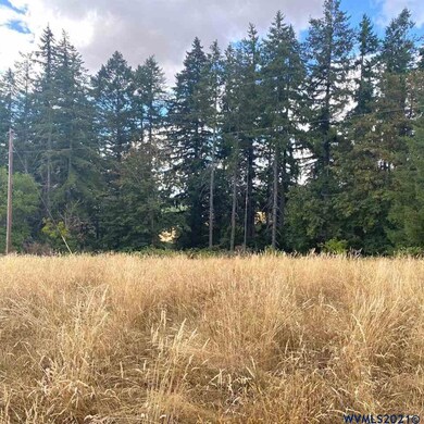 42820 Mount Pleasant (Next To 2) Dr, Scio, OR 97374 - photo 4