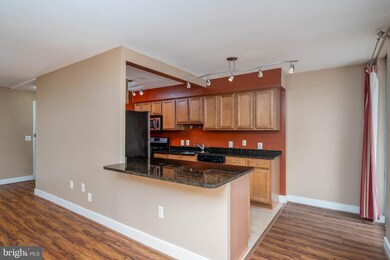 Mica Condominiums unit 207, Silver Spring, MD 20910 - photo 7